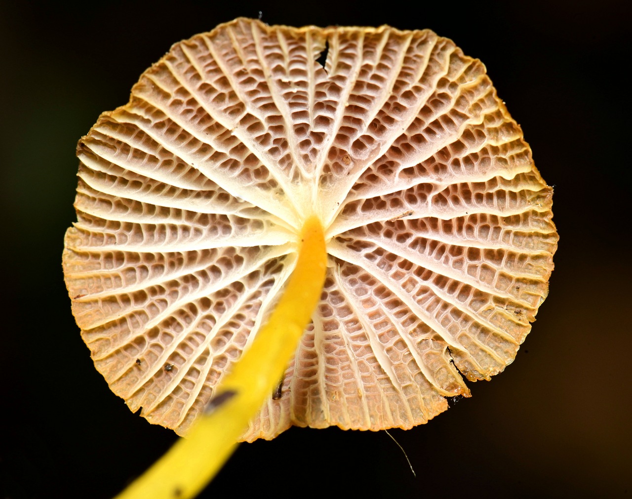 1158580.jpg