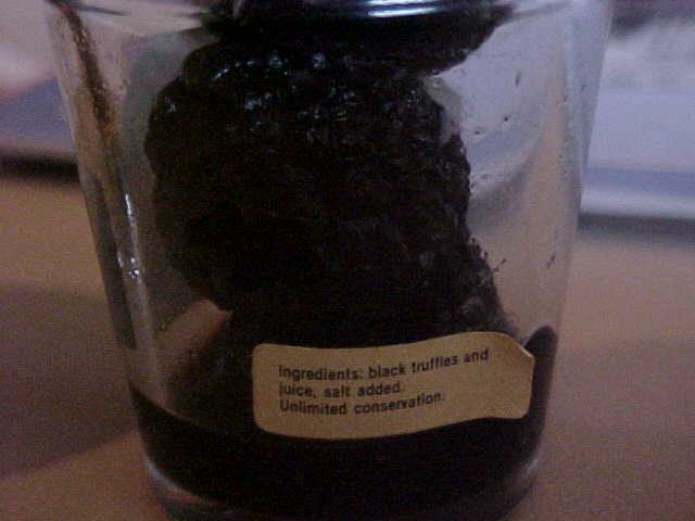 Tuber melanosporum image
