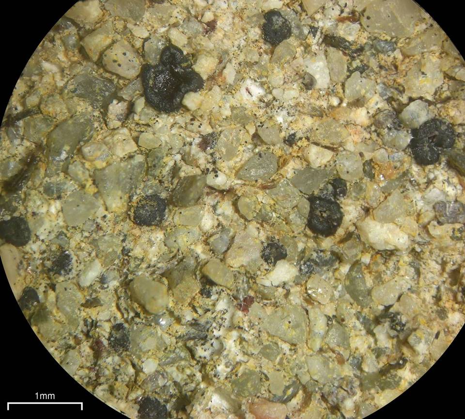 Sarcogyne similis image