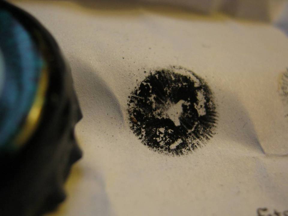Panaeolus alcis image