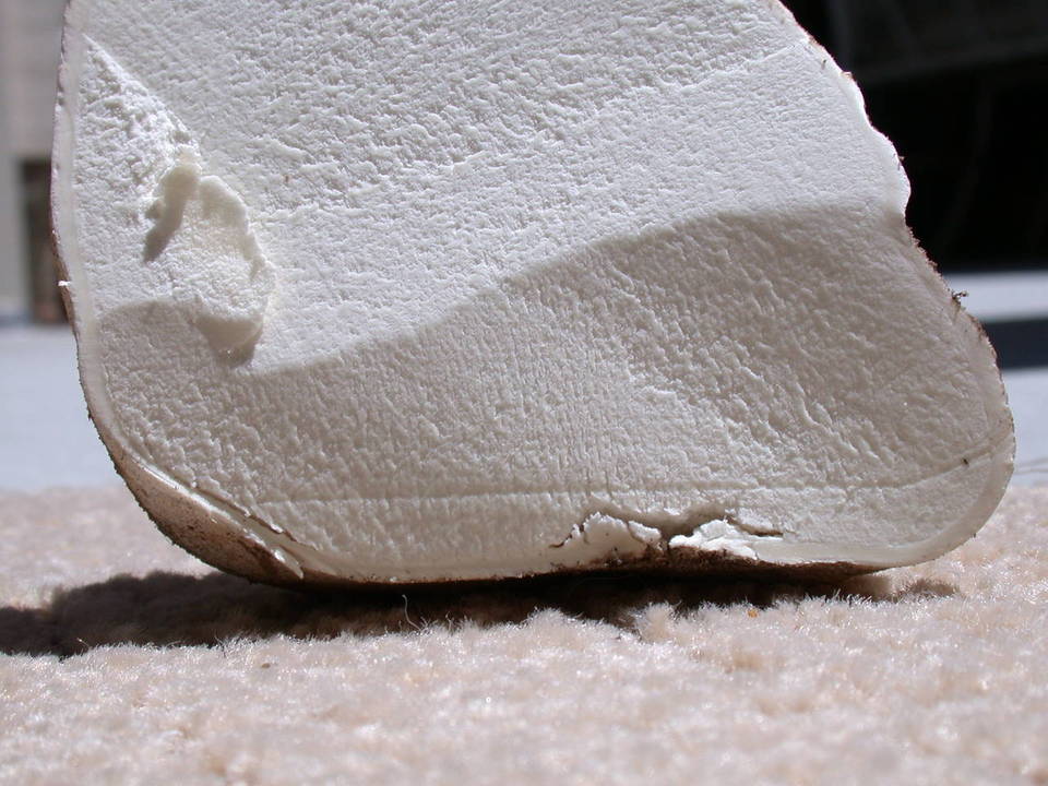 Calvatia pachyderma image