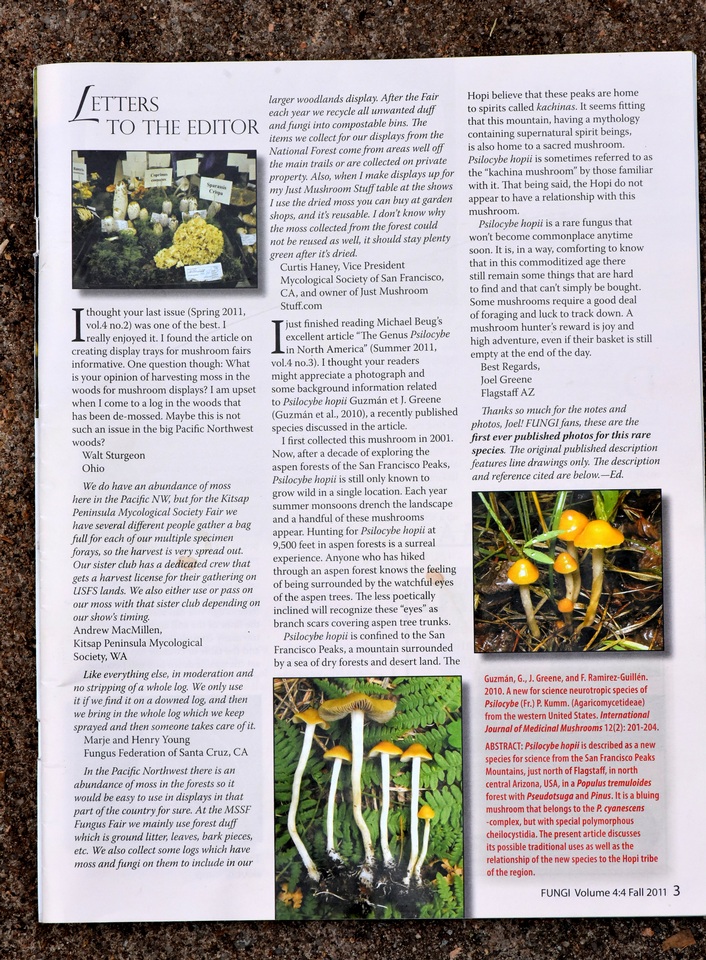 Psilocybe hopii image