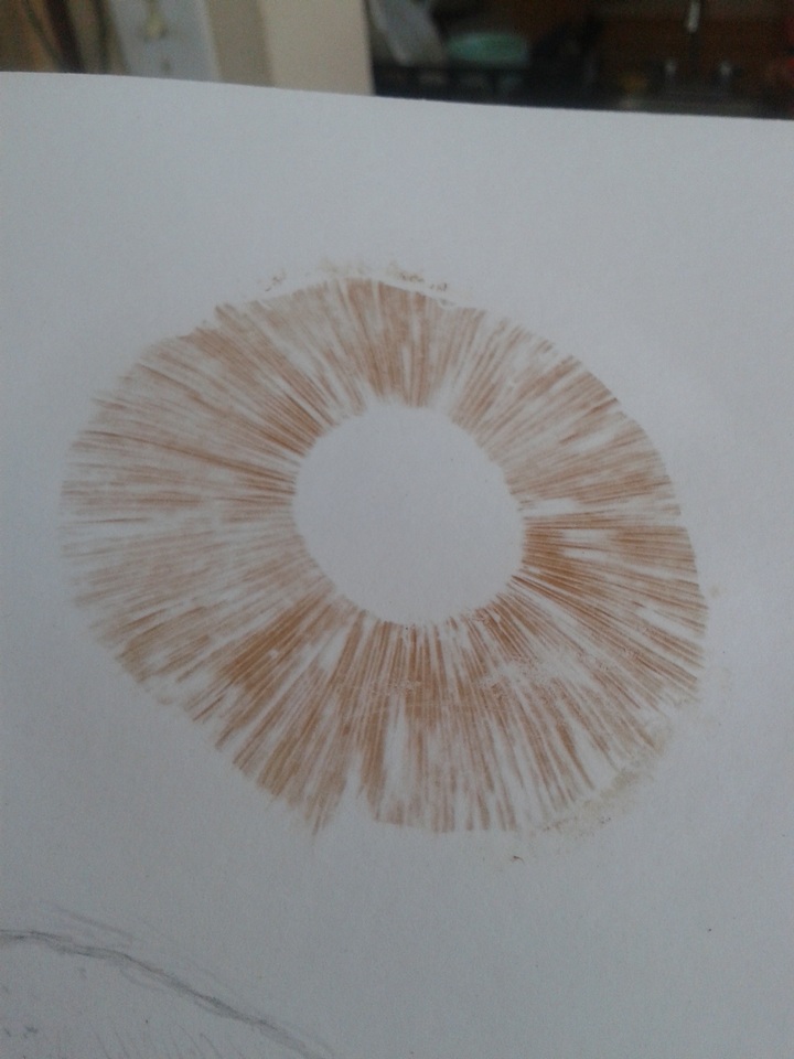 Gymnopilus imperialis image