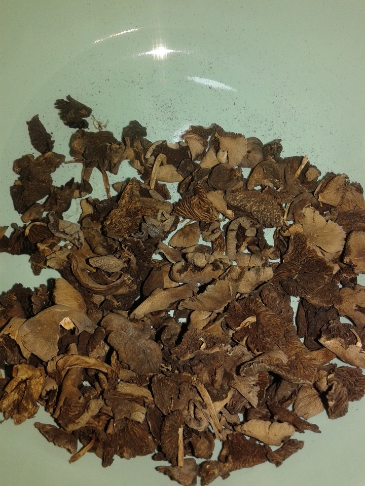 Psathyrella cacao image