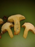 Suillus cothurnatus image