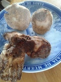 Russula cremeolilacina image