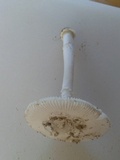 Amanita arenicola image
