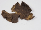 Calvatia pachyderma image