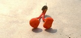 Hygrocybe miniata image