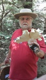 Leucopaxillus giganteus image