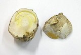 Amanita caesarea image