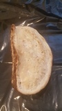 Fomitopsis ochracea image