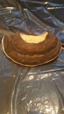 Fomitopsis ochracea image