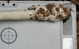 Amanita marmorata image