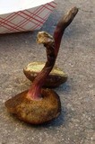 Boletus chrysenteron image