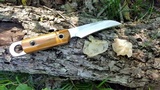 Ductifera pululahuana image