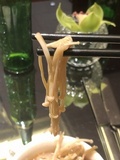 Image of Flammulina filiformis