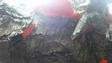 Earliella scabrosa image