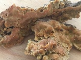 Rigidoporus crocatus image