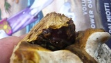 Ganoderma resinaceum image