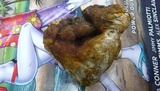 Ganoderma resinaceum image