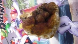 Ganoderma resinaceum image