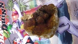 Ganoderma resinaceum image