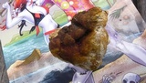 Ganoderma resinaceum image