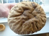 Calvatia craniiformis image
