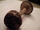 Amanita porphyria image