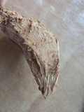 Ganoderma lucidum image