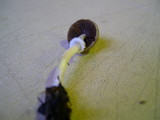 Psathyrella longistriata image