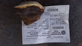 Fomitopsis mounceae image