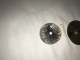 Panaeolus cinctulus image