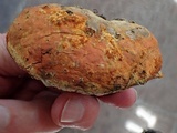 Hypomyces aurantius image