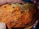 Hypomyces aurantius image