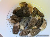 Morchella importuna image