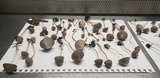 Psathyrella prona image