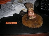Boletus chrysenteron image