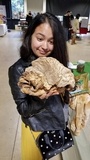 Dictyocephalos attenuatus image