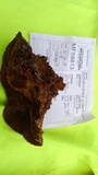 Phellinus gilbertsonii image