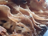 Simocybe sumptuosa image