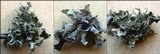 Ramalina bourgeana image