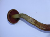 Cortinarius semisanguineus image