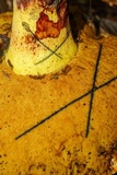 Boletus subluridellus image