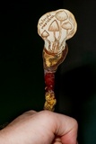 Ganoderma curtisii image