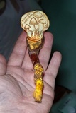 Ganoderma curtisii image