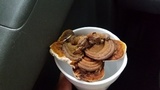 Ganoderma lobatum image