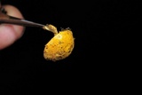 Hypomyces microspermus image