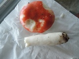 Russula silvicola image